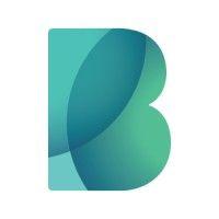 bigbank logo image