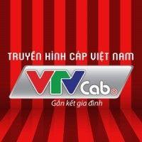 vtvcab logo image