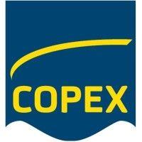 copex - air/ocean/road/packaging logo image