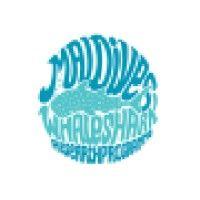 maldives whale shark research programme