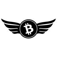 satoshi's angels logo image