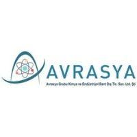 avrasya group ltd. logo image