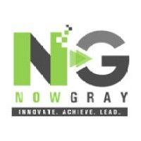 nowgray it services pvt ltd logo image