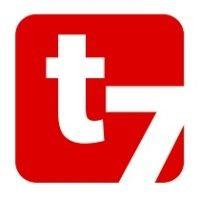 telesis7 consulting logo image