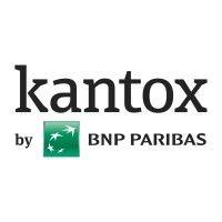 kantox logo image