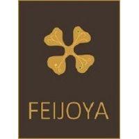 feijoya ltd logo image