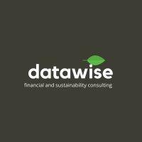 datawise financial and sustainability consulting logo image