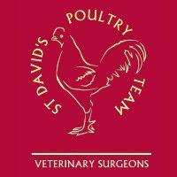 st david's poultry team logo image