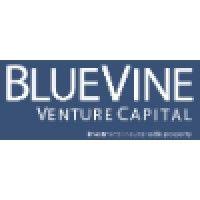 bluevine ventures logo image