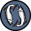 logo of 2 Fish Company Llc