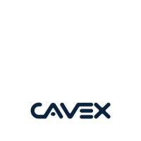 cavex holland bv