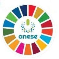 anese logo image