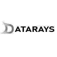 datarays logo image