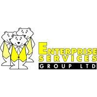 enterprise services group ltd logo image