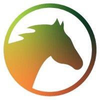 dark horse consulting group inc. logo image