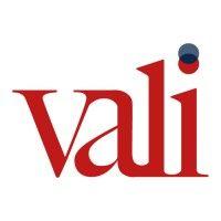 vali consultores logo image