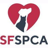 san francisco spca