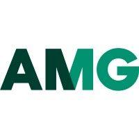 amg wealth logo image