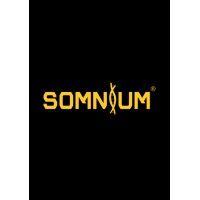 somnium® technologies logo image