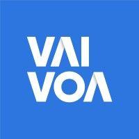 vaivoa logo image