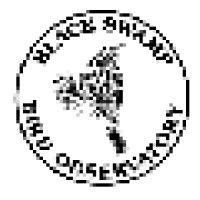 black swamp bird observatory logo image