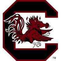 south carolina gamecocks logo image