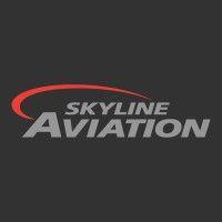 skyline aviation logo image