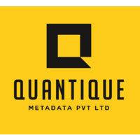 quantique metadata private limited logo image