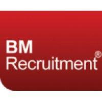 bm recruitment group logo image