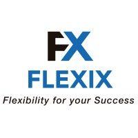 flexix logo image