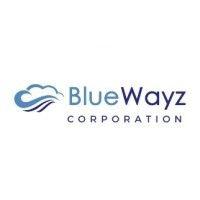 bluewayz corporation logo image