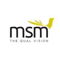 msm logo image