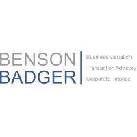 benson badger advisory group inc. logo image