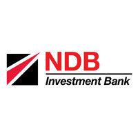 ndb investment bank limited logo image