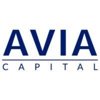 avia capital partners logo image