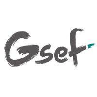 gsef (global forum for social and solidarity economy)