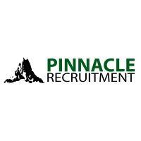 pinnacle recruitment ltd logo image