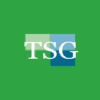 tsg networks logo image