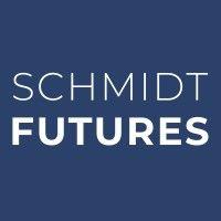 schmidt futures logo image