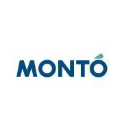 pinturas montó logo image