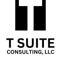 t suite consulting, llc