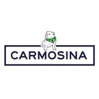 carmosina holdings logo image