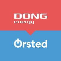 dong energy logo image