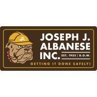 joseph j. albanese logo image