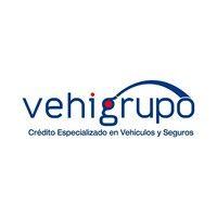 vehigrupo s.a.s.