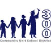 district 300 schools logo image