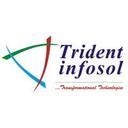 logo of Trident Infosol Pvt Ltd