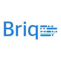 briq s.r.l. logo image