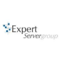 expert server group logo image