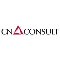 cn-consult gmbh logo image